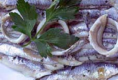 Anchois marinés au citron