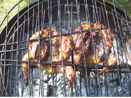 cailles marinées et grillées en crapaudine