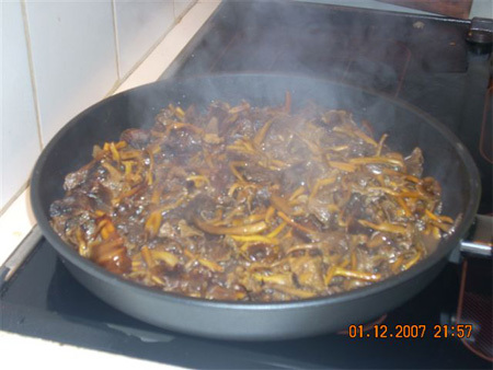 paupiettes de poulet