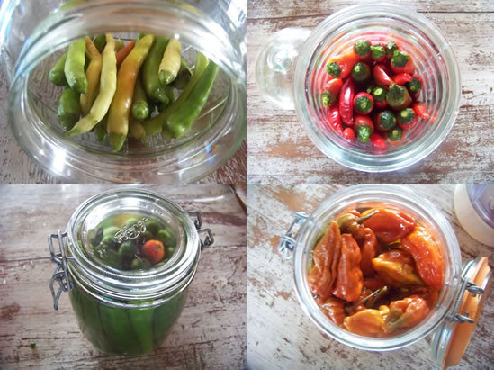 Piments au vinaigre
