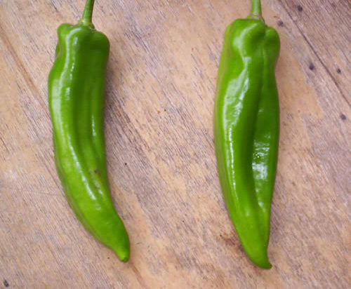 poivrons sautés – la recette