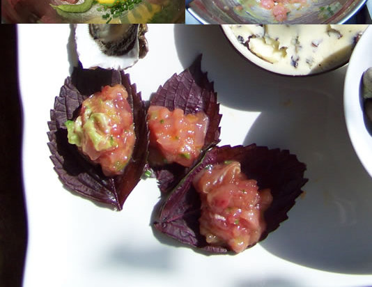 tartare de thon