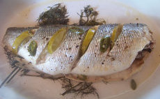 recette de Bar en papillotte au fenouil et citron vert