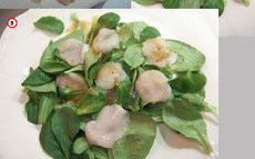 recette de carpaccio de coquilles Saint-Jacques