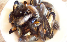 recette de Moules marinières