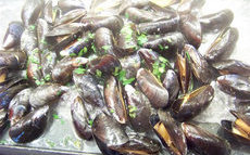 recette de moules à la plancha