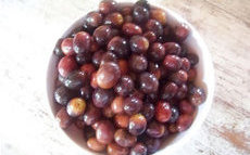 recette de olives noires – préparation maison