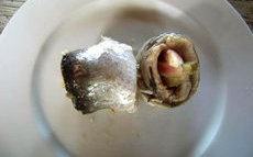 recette de rollmops