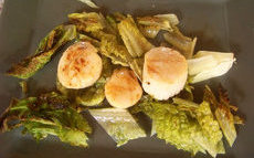 recette de Coquilles Saint-Jacques poêlées sur lit de romaine grillée – la recette