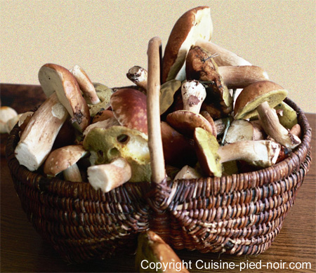image . Les champignons : 1 le cèpe