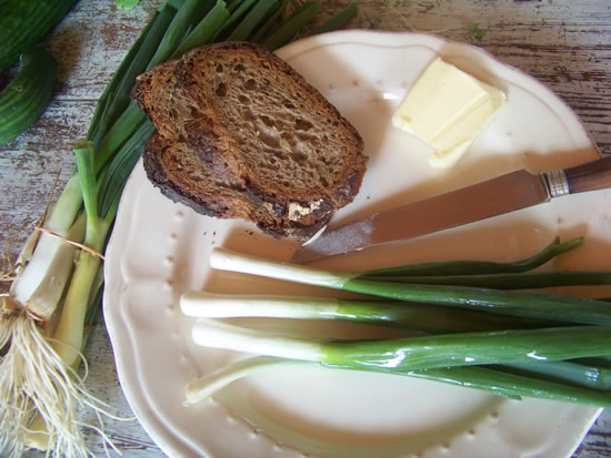 Cives avec du pain et du beurre, un bon casse-croûte quand on fait le jardin !