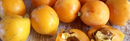 nèfles du Japon