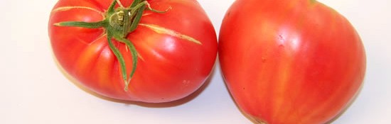 tomates