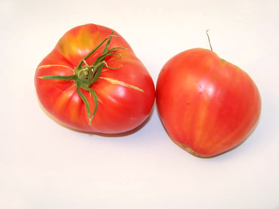 tomates