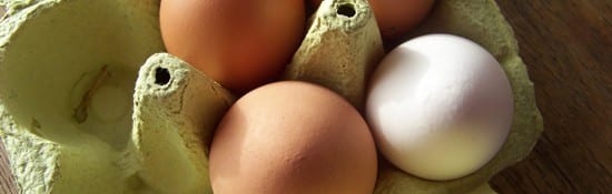 oeufs