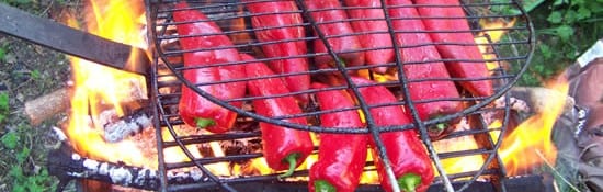 Mettre les poivrons directement dans la flamme !