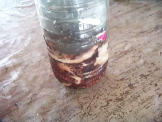 poulpe en bouteille