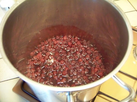 gelée de mûres