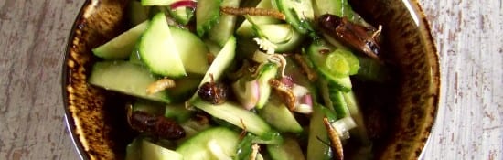 salade de concombres aux grillons et vers de farine