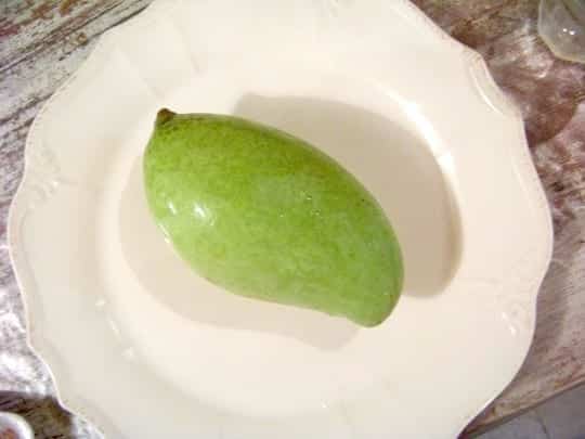 mangue verte