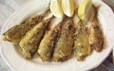 chinchards et maquereaux frits
