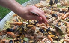 paella aux fruits de mer et poulet
