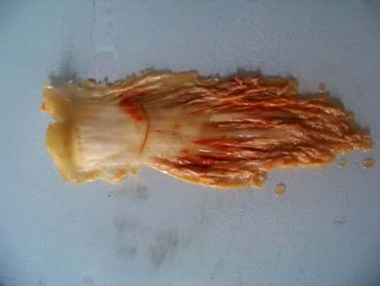 kimchi de feuilles entières