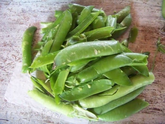 cosses-petits-pois