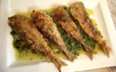 chinchards frits en sauce verte