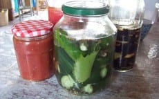 concombres lacto-fermentés