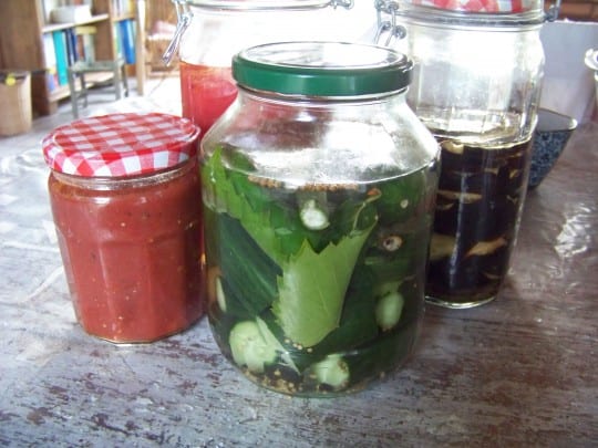 concombres lacto-fermentés