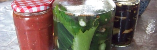concombres lacto-fermentés