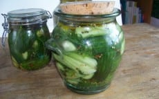 concombres aux fenouils et aneth