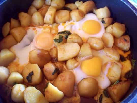 batata fliyou batata-fliyou