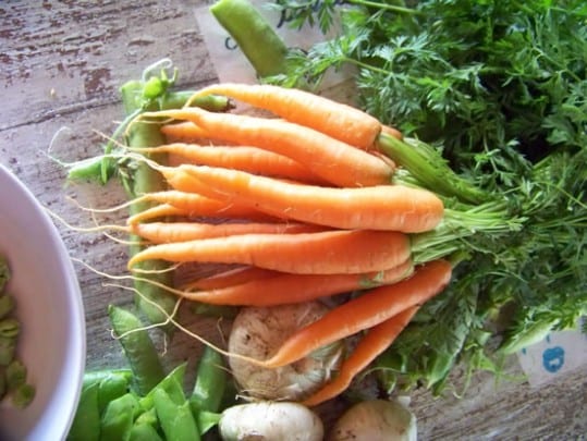 legumes-de-printemps-003_reduc