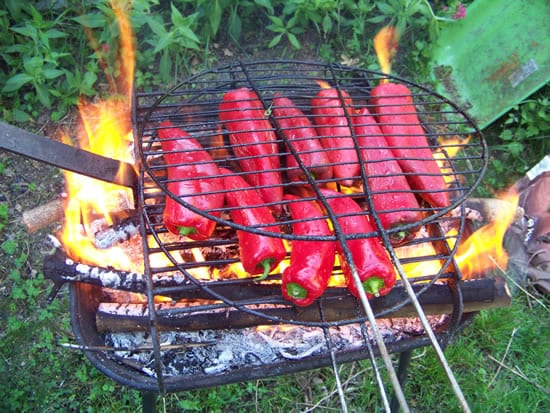 Mettre les poivrons directement dans la flamme !