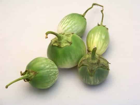 aubergines asiatiques
