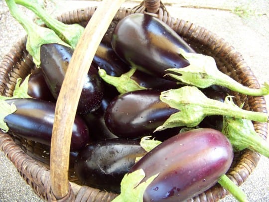 caponata d'artichauts 008