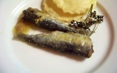sardines à l'huile