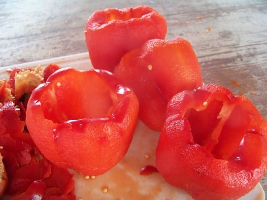 carpaccio-poulpe 010