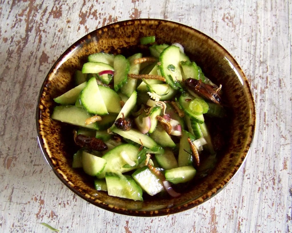 salade de concombres aux grillons et vers de farine