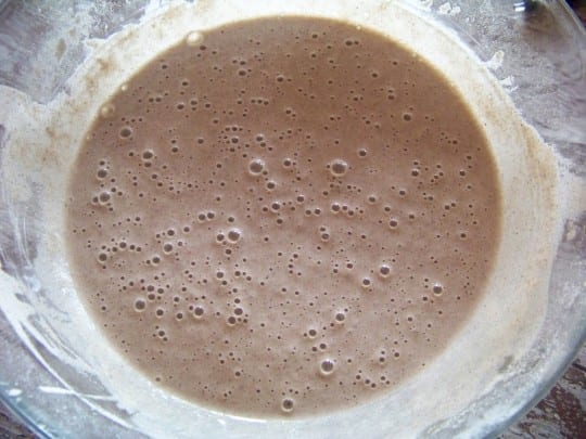 Pâte à galettes, les trous montrent l'activité de fermentation !